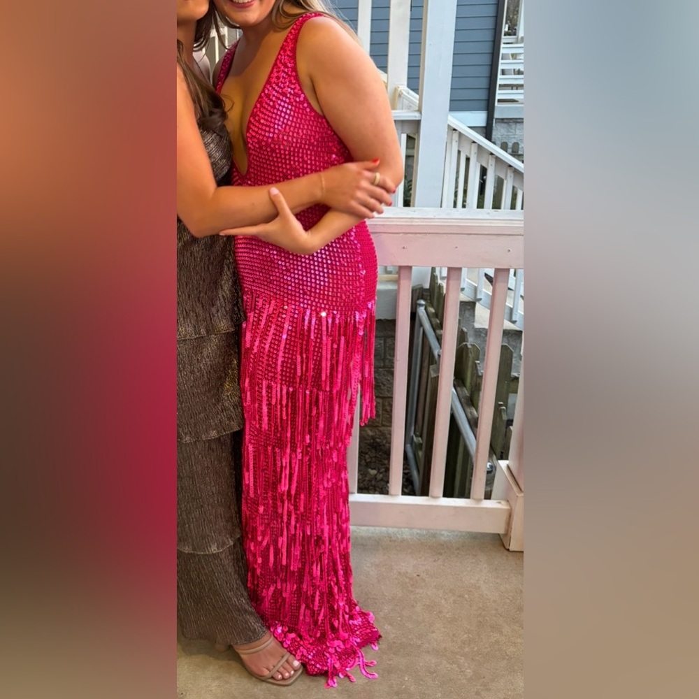 Retrofete Libra Pink Sequin Fringe Gown - Picture 6 of 6